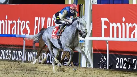 El caballo ganador Hit Show en Meydan. (WAM)