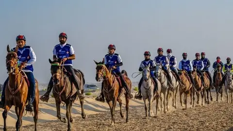 Un momento de una carrera de resistencia a caballo en EAU. (WAM)