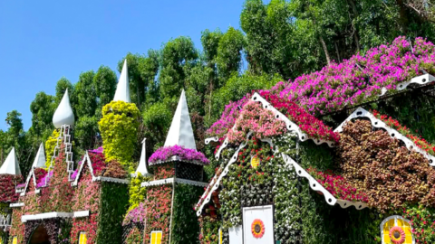 Dubai Miracle Garden. (X)