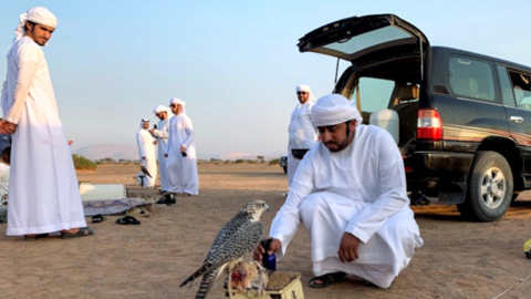 Un grupo de emiratíes. (EL CORREO)