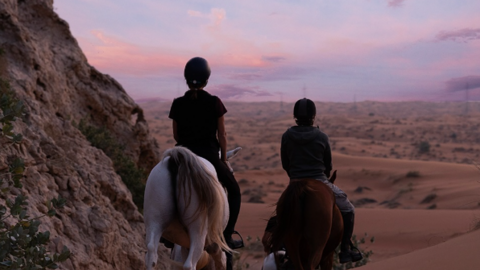 Mleiha National Park. (Instagram)