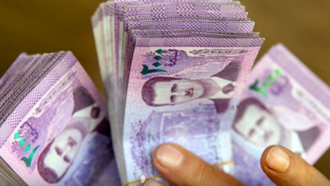 Billetes de libra siria. (X)