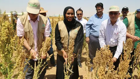 Una imagen de X de Al Ain Farms.