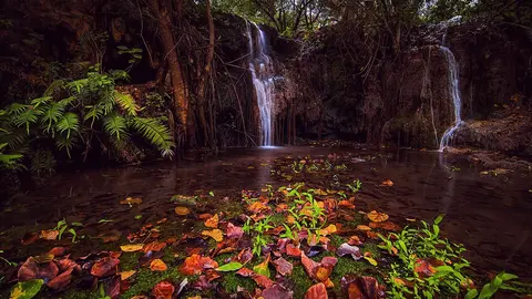 Una imagen de X de Salalah en  Omán.
