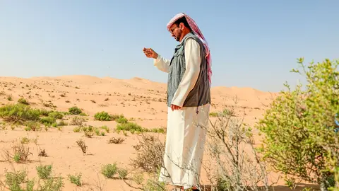 Un funcionario contempla la siembra de semillas en el desierto. (WAM)