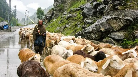 Pakistán ha recurrido al FMI en 24 ocasiones desde 1950, superando a Argentina como el país con más programas solicitados al organismo. (pxhere.com)