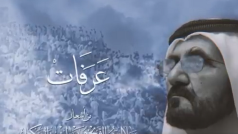 Captura de pantalla del vídeo difundido por el gobernante de Dubai. (X)