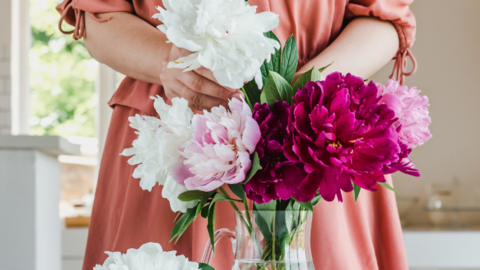 Una imagen a modo ilustrativo. (SilverSwan)