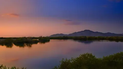 Manglares de Kalba en el emirato de Sharjah. (Fuente externa)