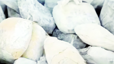 Las pastillas confiscadas. (X)