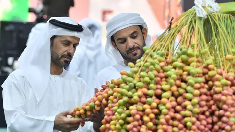 El Festival del dátil Liwa. (WAM)