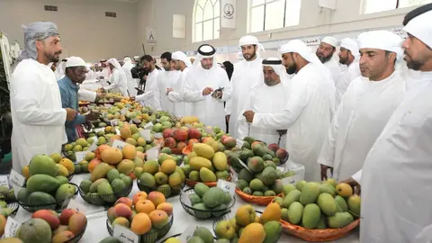 Festival del Mango en Emiratos. (Sharjah24)
