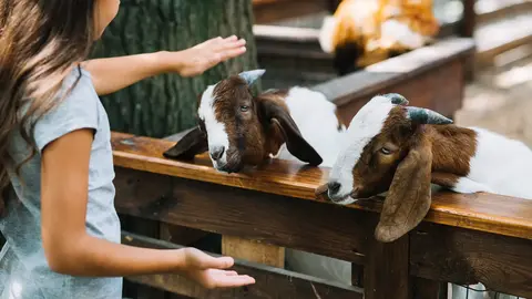 Sharjah Desert Park. (Fuente externa)