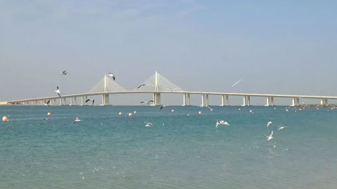 Una imagen de la playa Al Bateem. (visitabudhabi.ae)