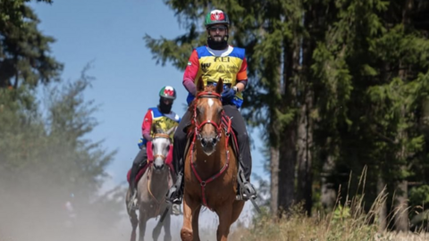 Jinetes de EAU. (WAM)