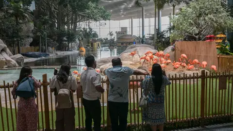 Seeworld Abu Dhabi. (WAM)