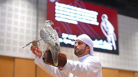 Una imagen de la subasta halcones en Abu Dhabi. (WAM)