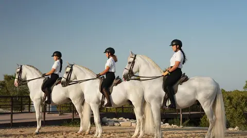 Representantes del Arte ecuestre en Abu Dhabi. (WAM)