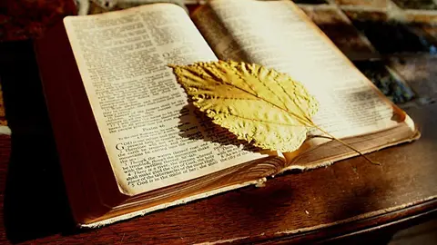 El marcador de libro se erige en una indispensable muleta para la memoria de los lectores. (pxhere.com)