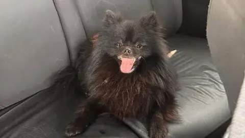 Pablo feliz tras la vuelta a casa. (Cedida)