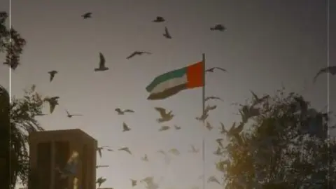 Captura de pantalla del vídeo difundido por Dubai Media Office.