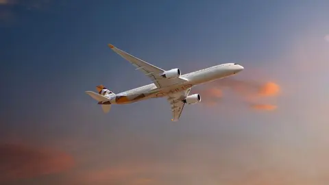 Un avi&oacute;n de Etihad Airways. (WAM)