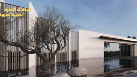 Olivo en Keturah Reserve de Dubai. (X)