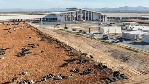 La granja de Mleiha en Sharjah. (Fuente externa)