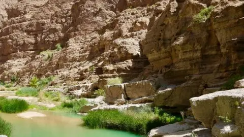 Wadi Shaam en RAK. (Fuente externa)