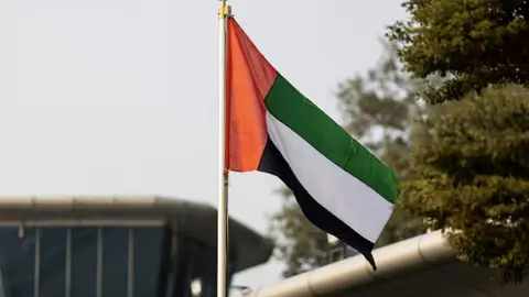 Una bandera de EAU. (Tribunal Presidencial de Emiratos &Aacute;rabes)