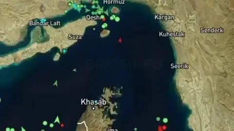 Movimiento de buques en el estrecho de Ormuz. (X)