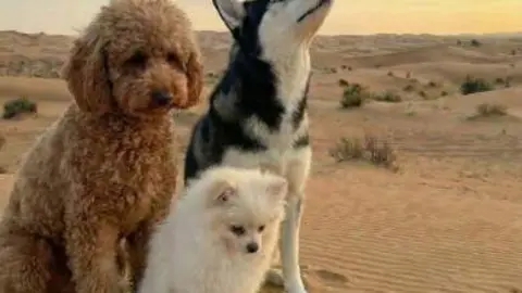 Una imagen a modo ilustrativo. (Instagram)