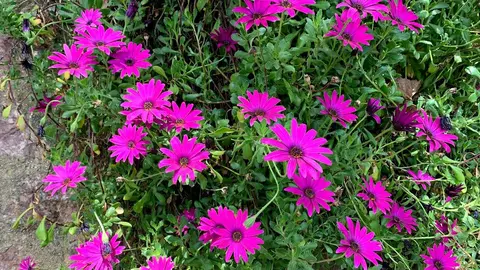 Imagen a modo ilustrativo. (EL CORREO)