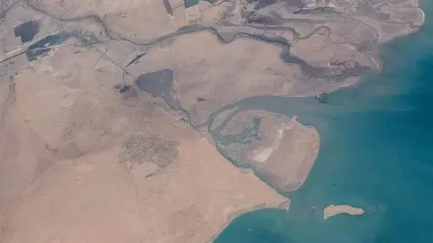 La Isla Bubiyan en Kuwait. (X)