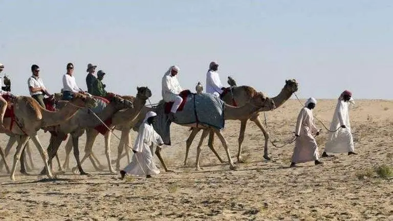 Una imagen del desierto de Al Dhafra en Abu Dhabi. (Fuente externa)