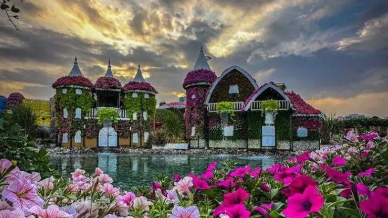 Dubai Miracle Garden. (Instagram)