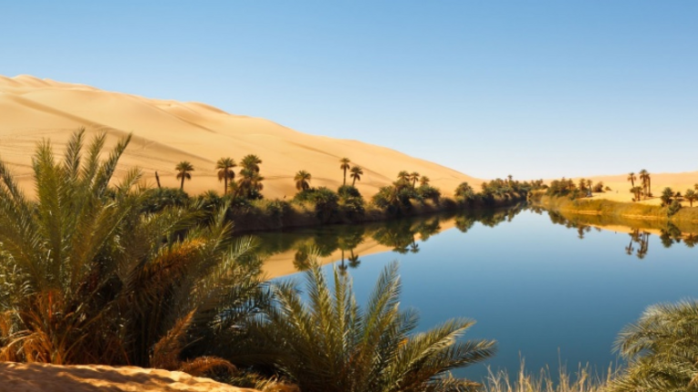 Un oasis en Abu Dhabi. (Fuente externa)