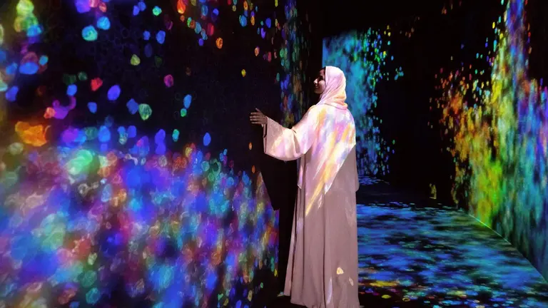 La experiencia teamLab Phenomena. (WAM)