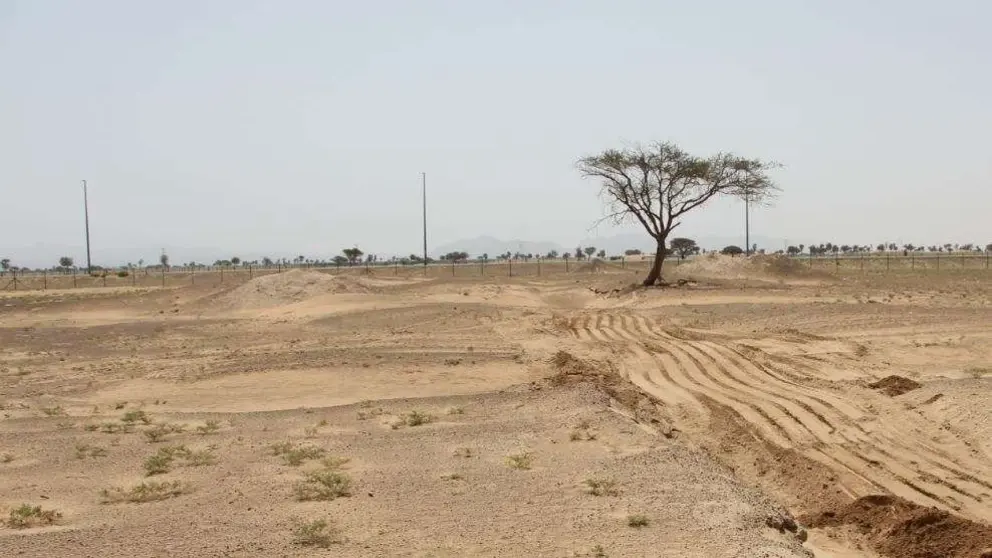 El desierto del emirato de Sharjah. (EL CORREO)