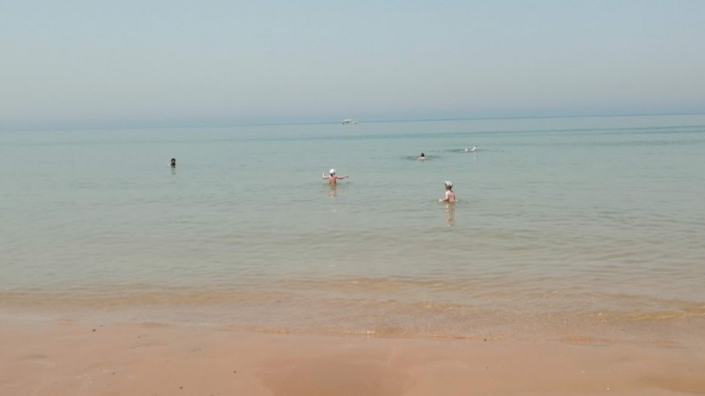 Una playa de Emiratos &Aacute;rabes en primavera. (EL CORREO)