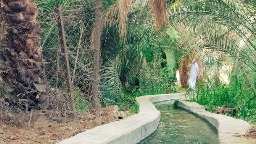 Una imagen de Twitter de la ciudad de Al Ain.