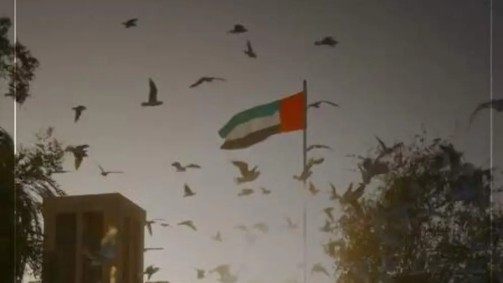 Captura de pantalla del vídeo difundido por Dubai Media Office.