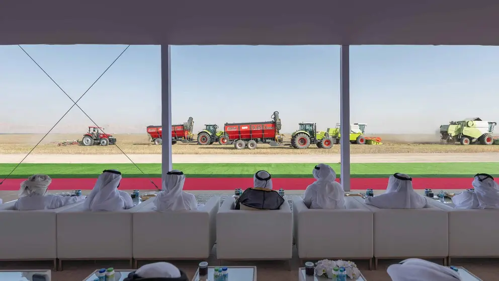 Una imagen de la cuarta cosecha de trigo en Sharjah. (X)