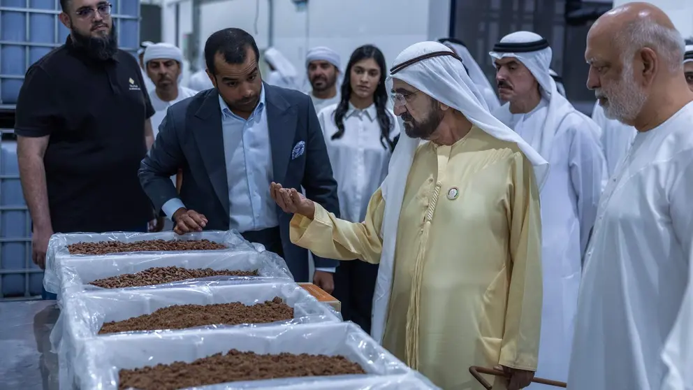 El gobernante de Dub&aacute;i visita la f&aacute;brica de d&aacute;tiles. (WAM)
