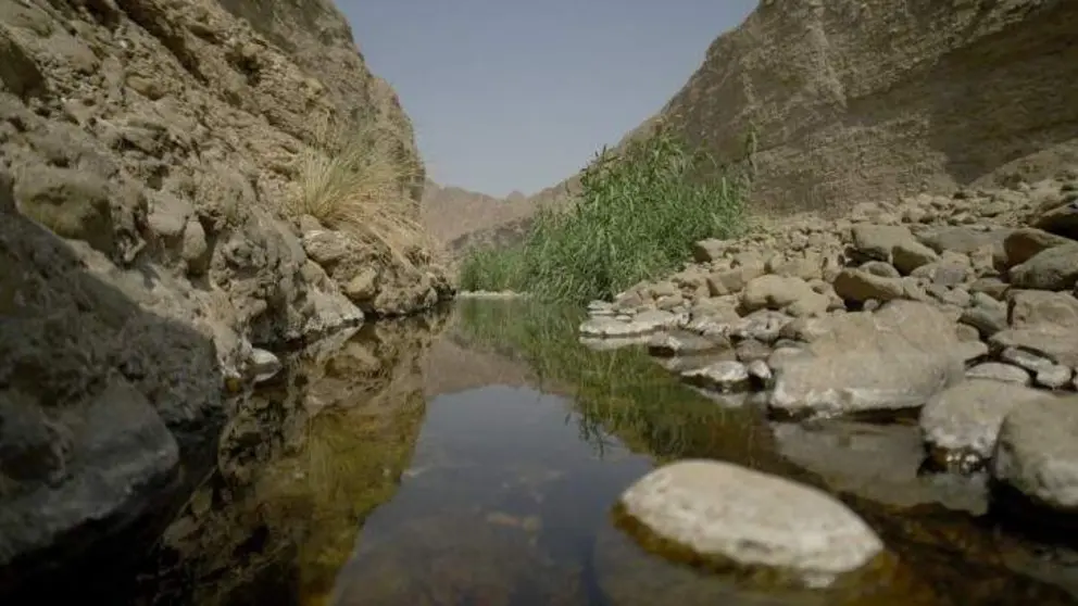 Wadi Wurayah en el emirato de Fujairah. (WAM)