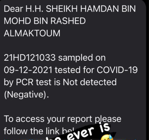 Una captura de la analítica del jeque Hamdan en Instagram.