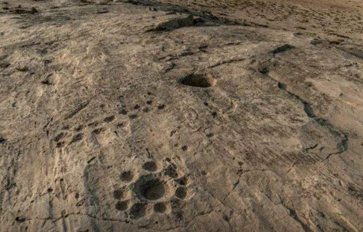 El arte rupestre en el desierto de Qatar. (Twitter)