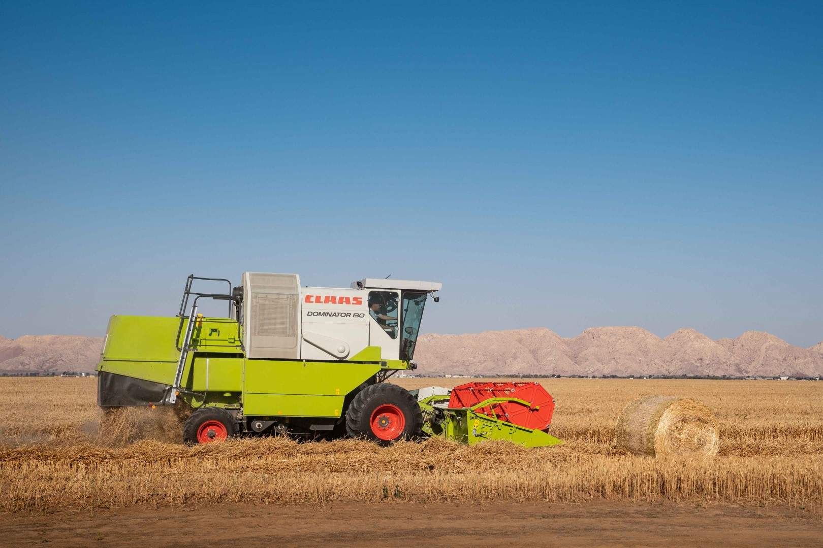 Cosechadora recolecta el trigo en el desierto de Sharjah. (WAM)