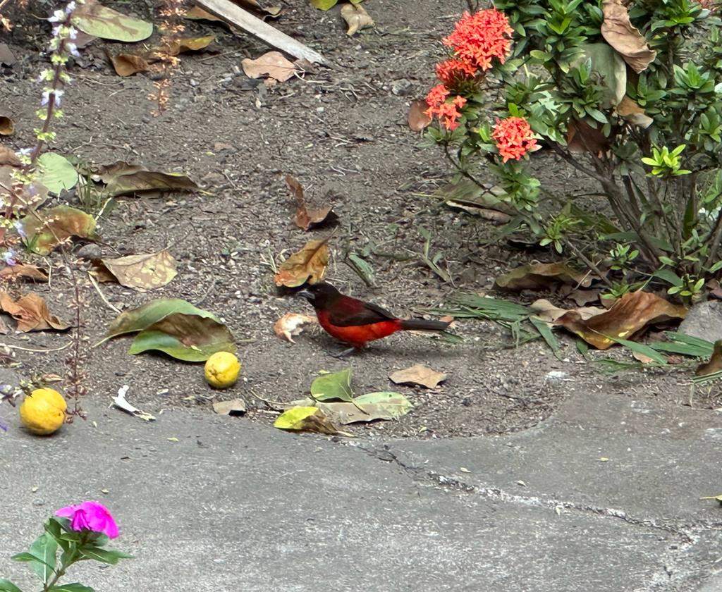 IMG-20231027-WA0005