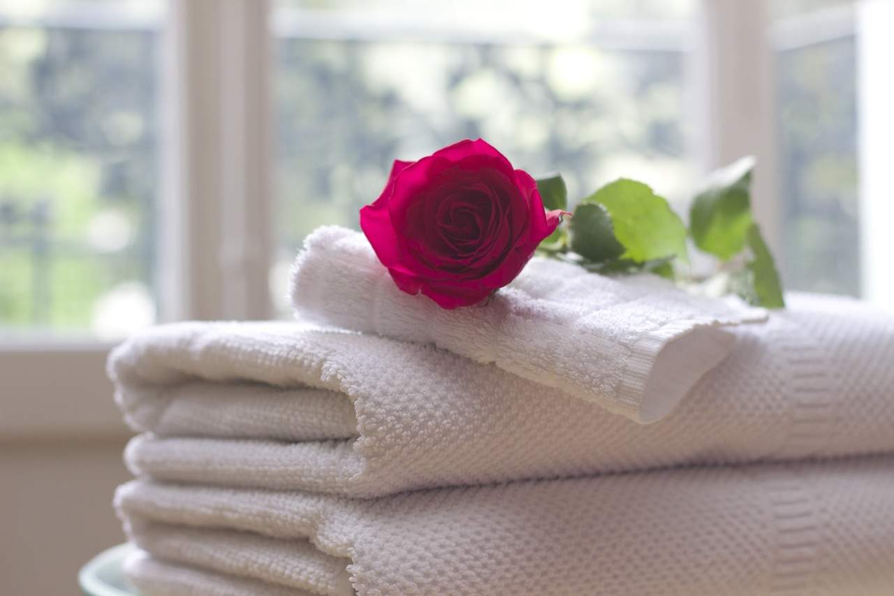 white-flower-petal-rose-relax-clean-731641-pxhere.com